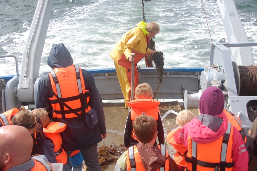 Marinbiolog drar upp fynd från havet på forskningsfartyg