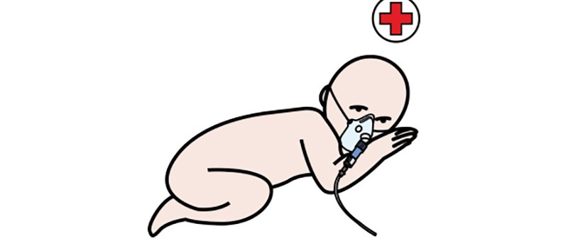 Bildstöd, patientskärmar, BEST