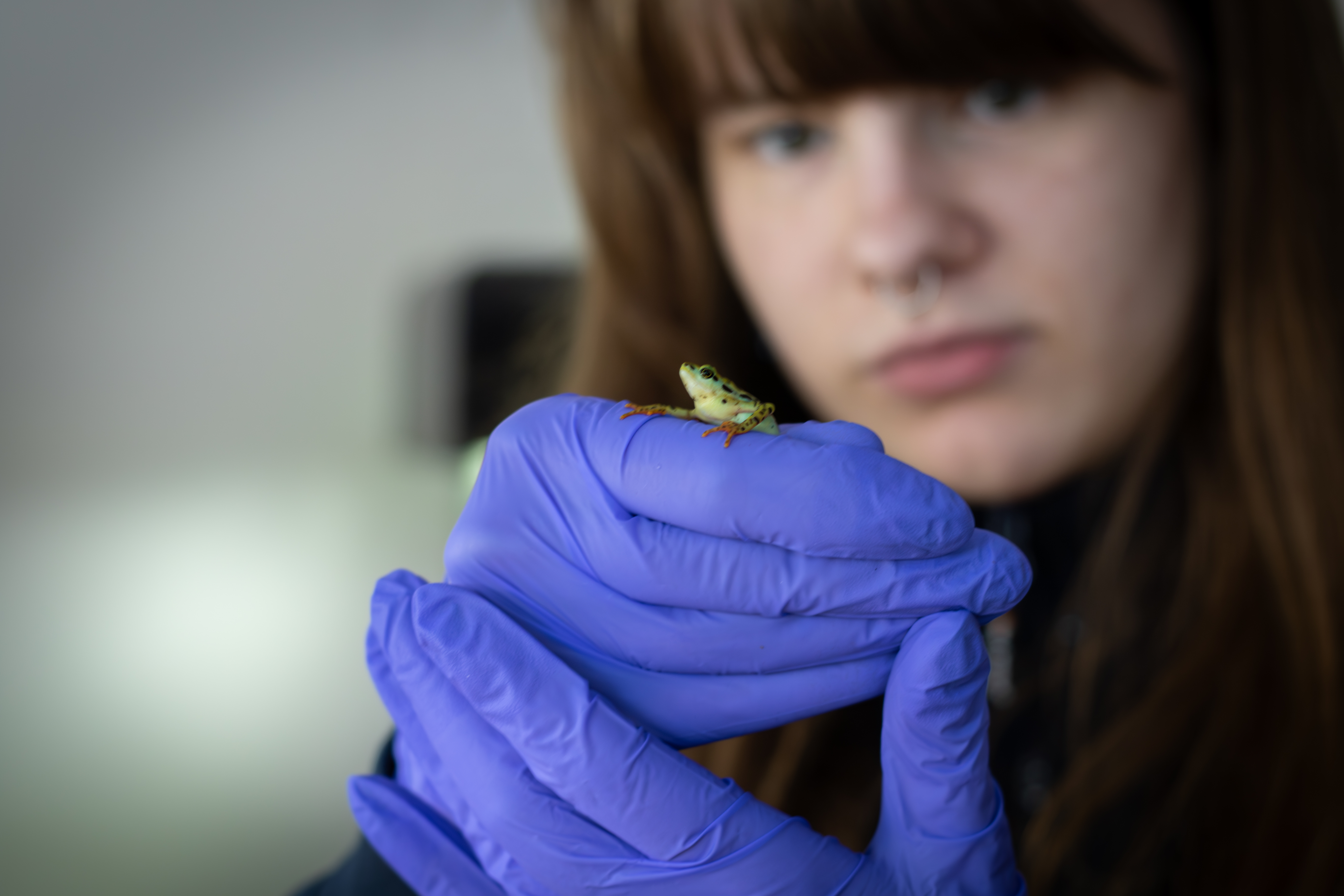 Signe håller i en padda