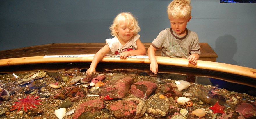 Två barn vid klappakvariet på Tjärnö, med sjögurka och röd solsjöstjärna.