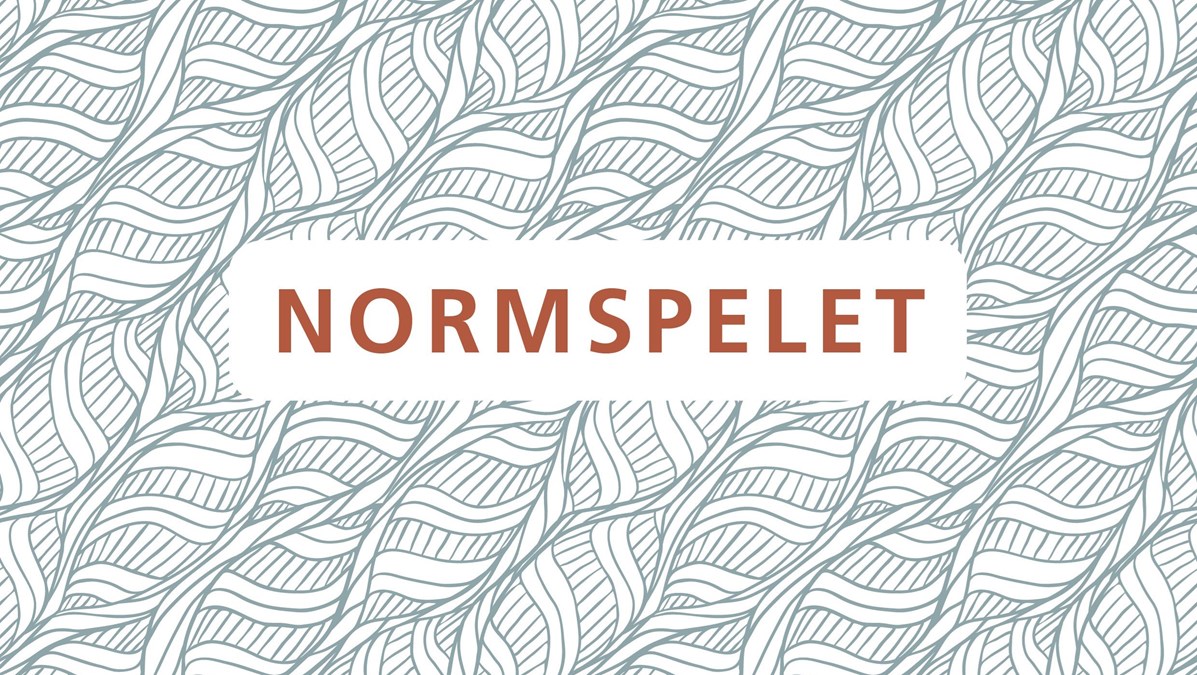 Illustration med vågigt mönster i grått och vitt med texten Normspelet.