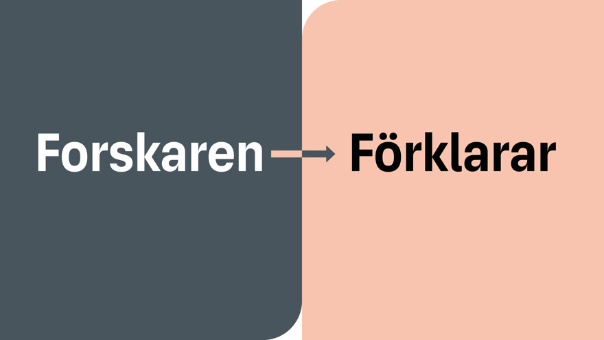 Forskaren förklara på grå och rosa platta