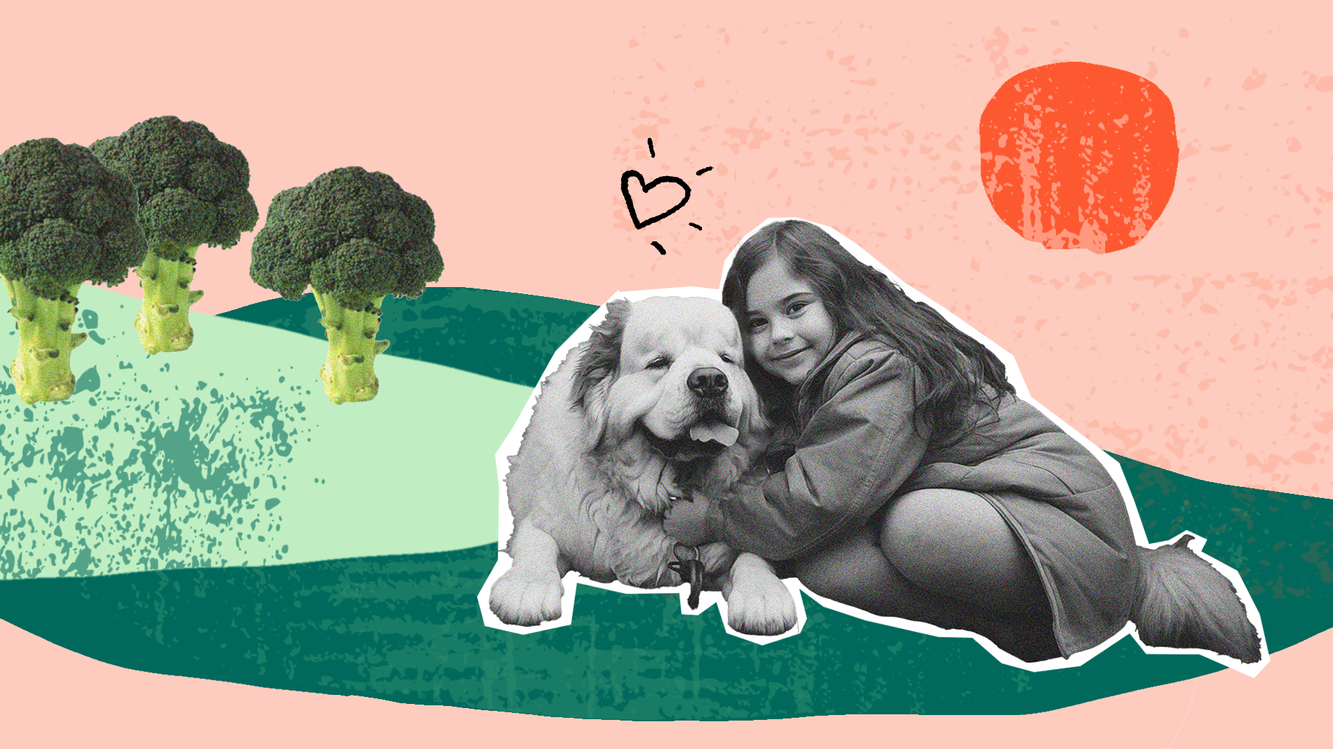 Ingen beskrivning tillgänglig