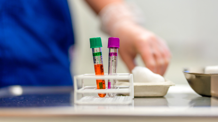 Två provrör i provrörsställ med bomull och metallbricka bredvid