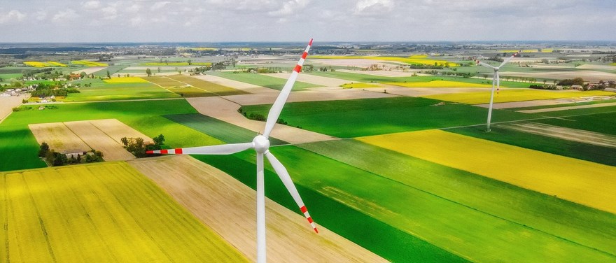 Öppet landskap med odlingsfält och vindkraftverk