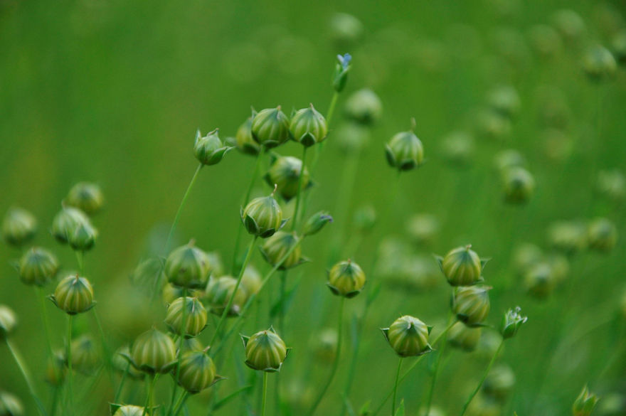 En blå bild med texten 1 kvm lin