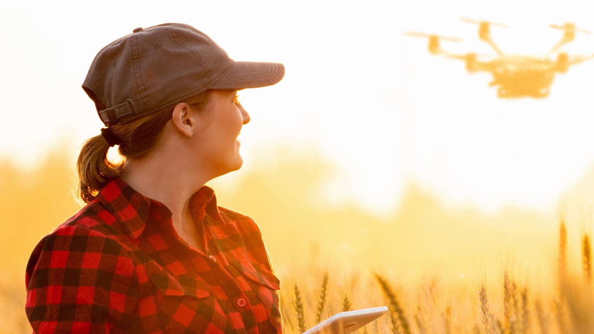 Kvinna med keps och rutig skjorta står i vetefält och tittar upp mot drönare