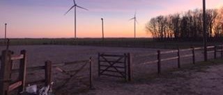 Landskapsbild med vindkraftverk