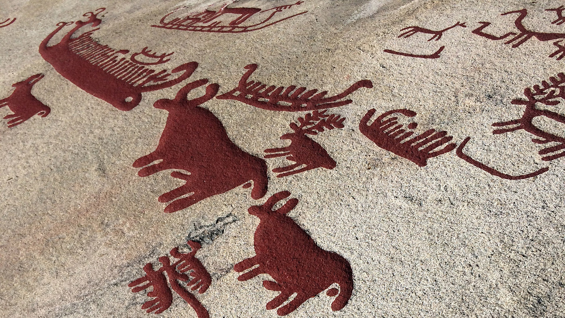 Ingen beskrivning tillgänglig