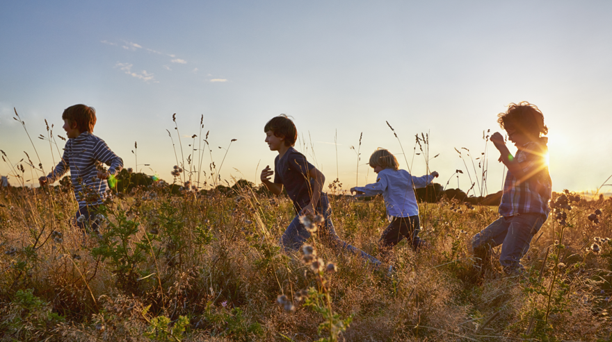 Barn springer på en äng