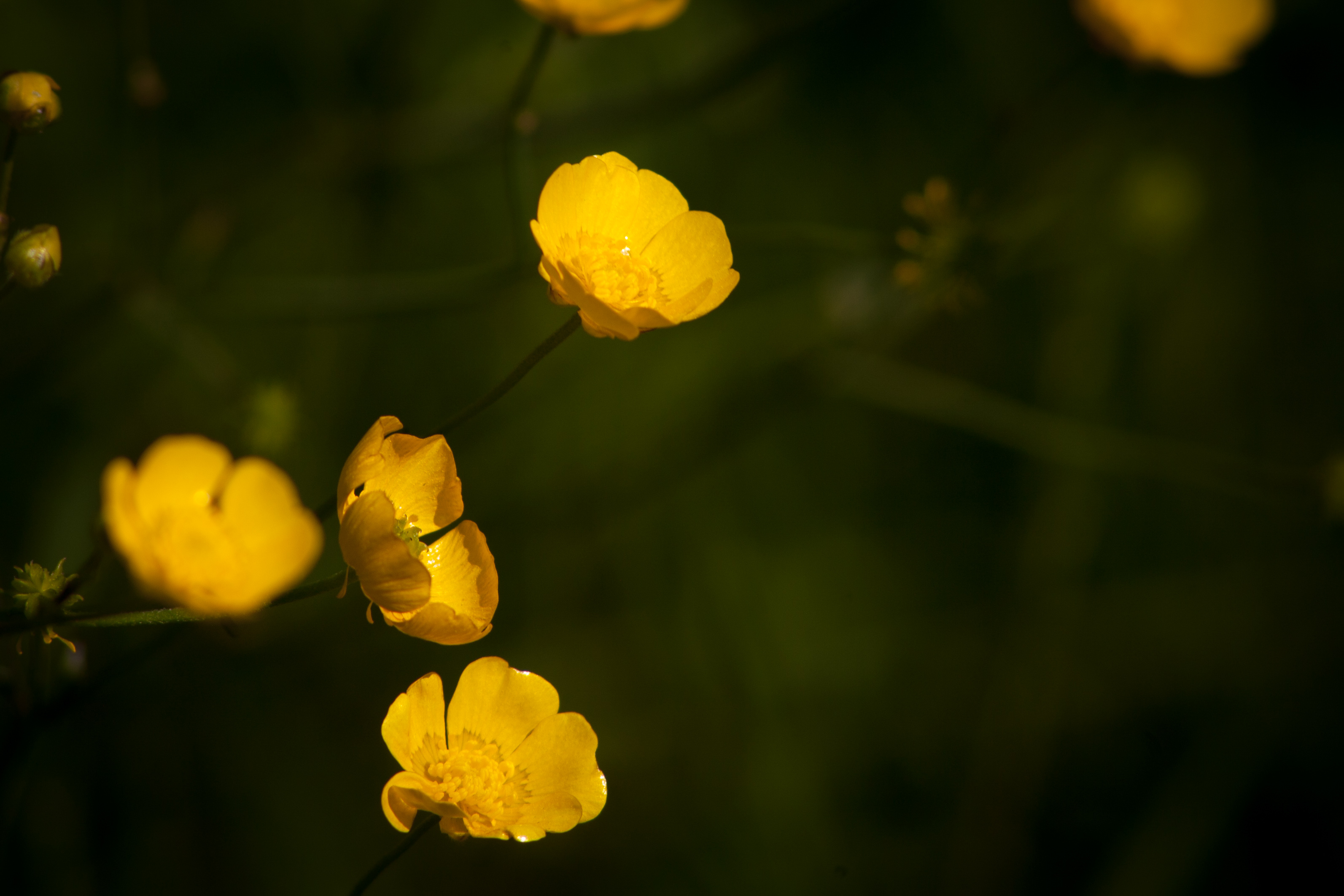 Ingen beskrivning tillgänglig
