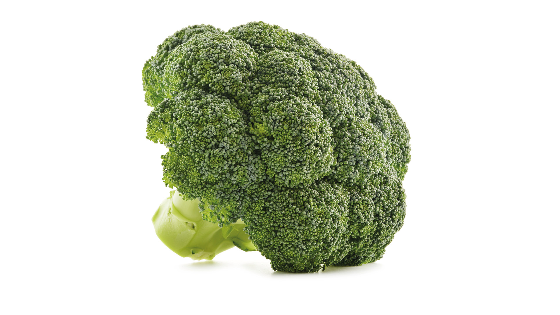 Broccoli i närbild.