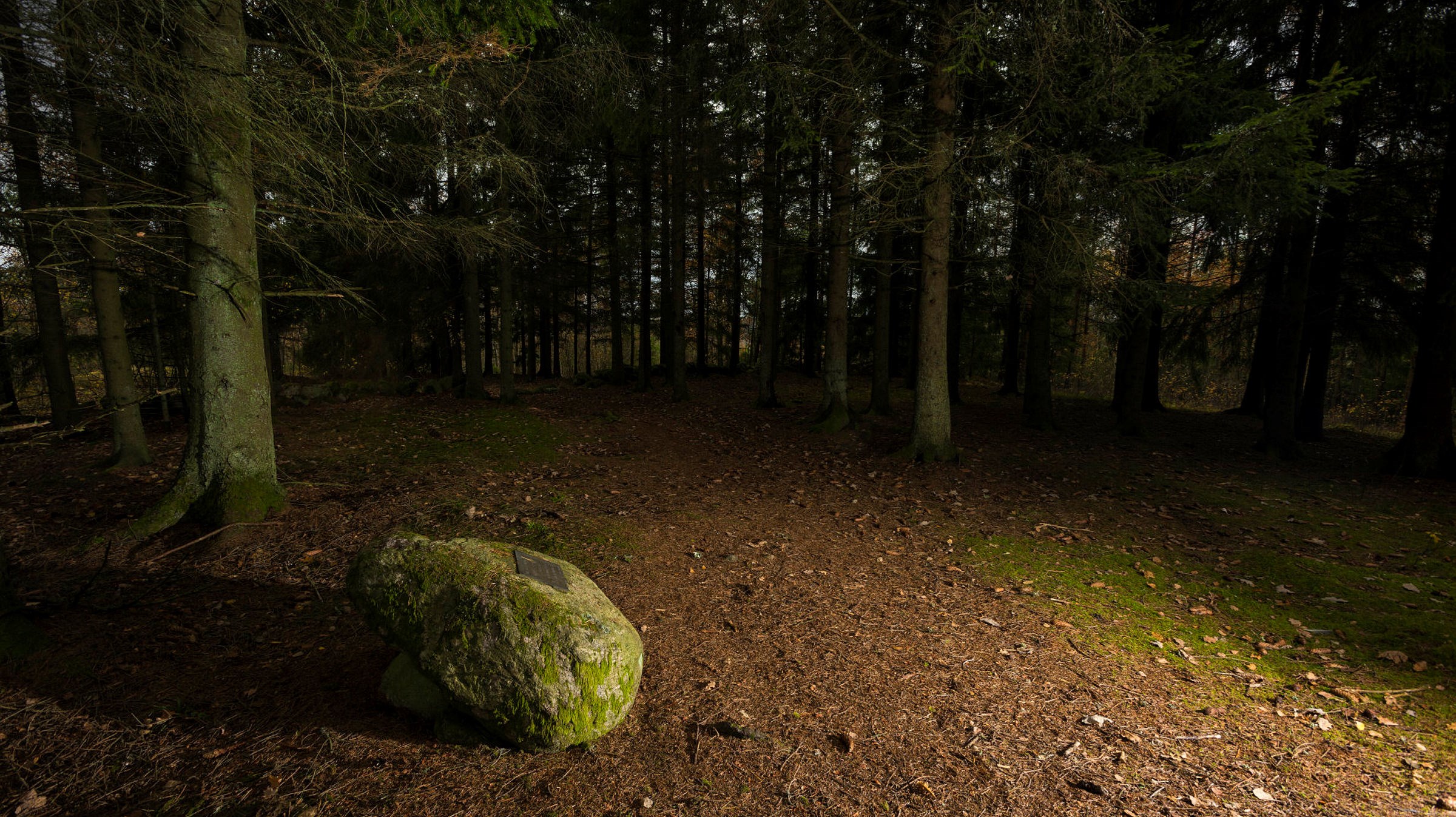 Ingen beskrivning tillgänglig