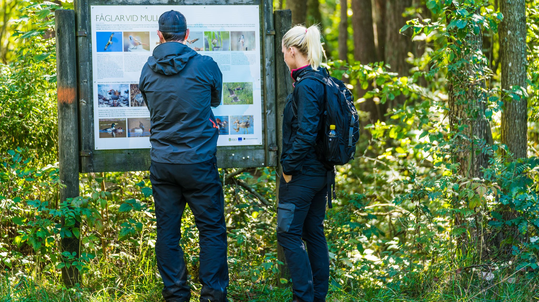 Ingen beskrivning tillgänglig