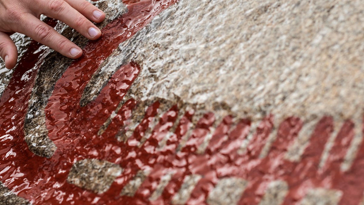 Hällristningarna i Tanums världsarv. En hand håller på en röd ristning på sten.