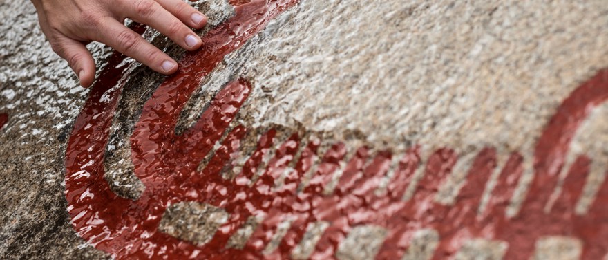 Hällristningarna i Tanums världsarv. En hand håller på en röd ristning på sten.