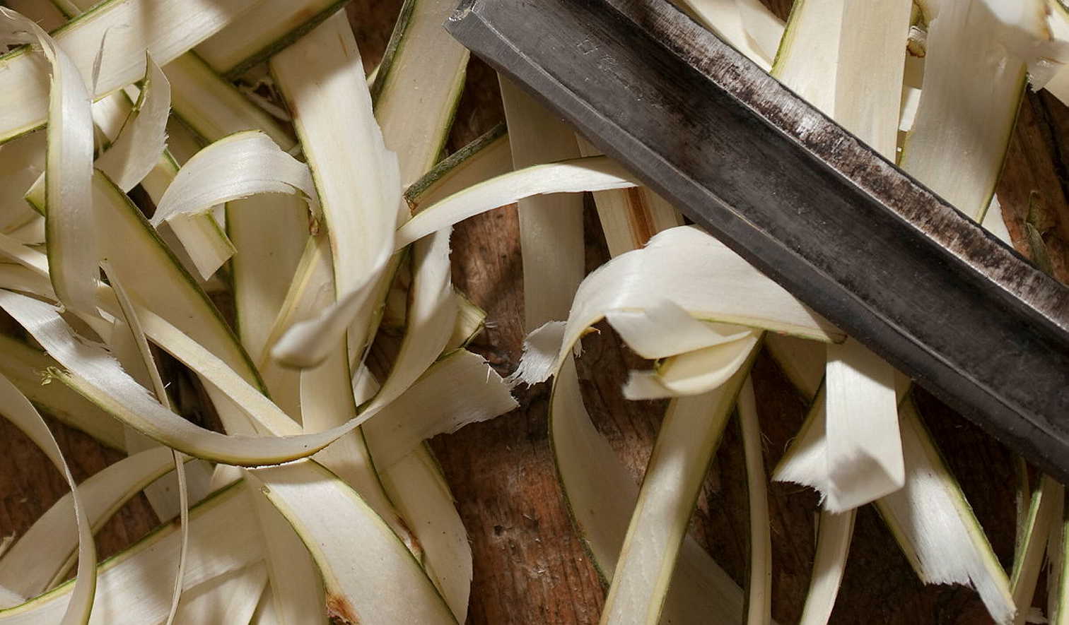 Färska spån och en bandkniv