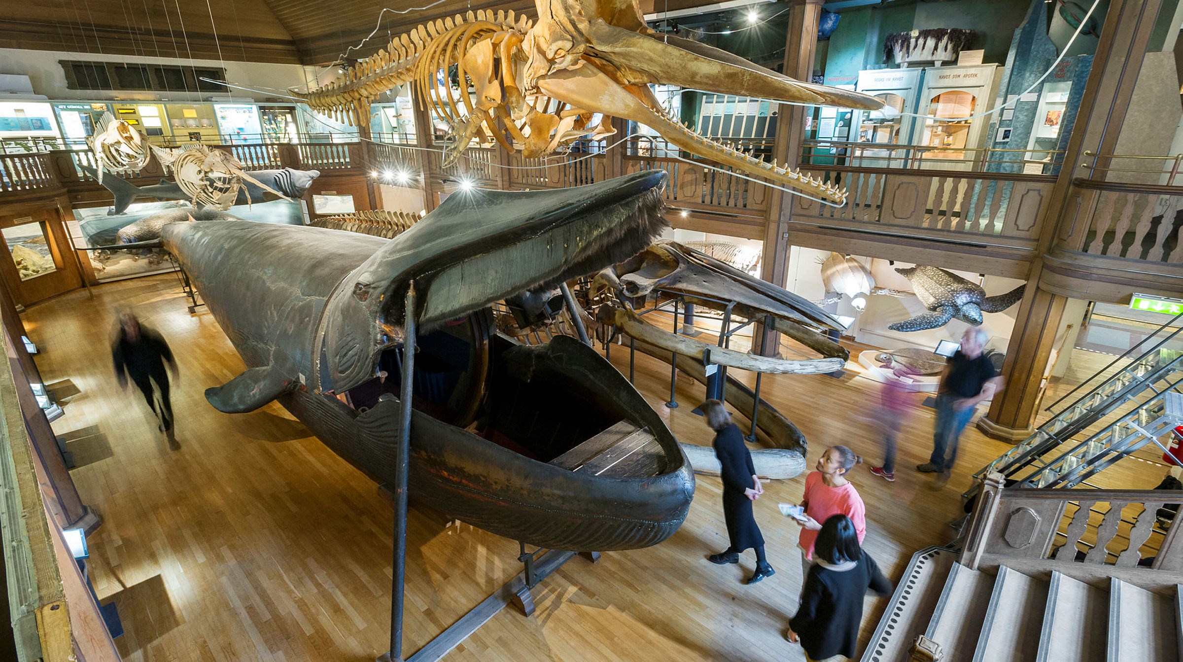 Ingen beskrivning tillgänglig