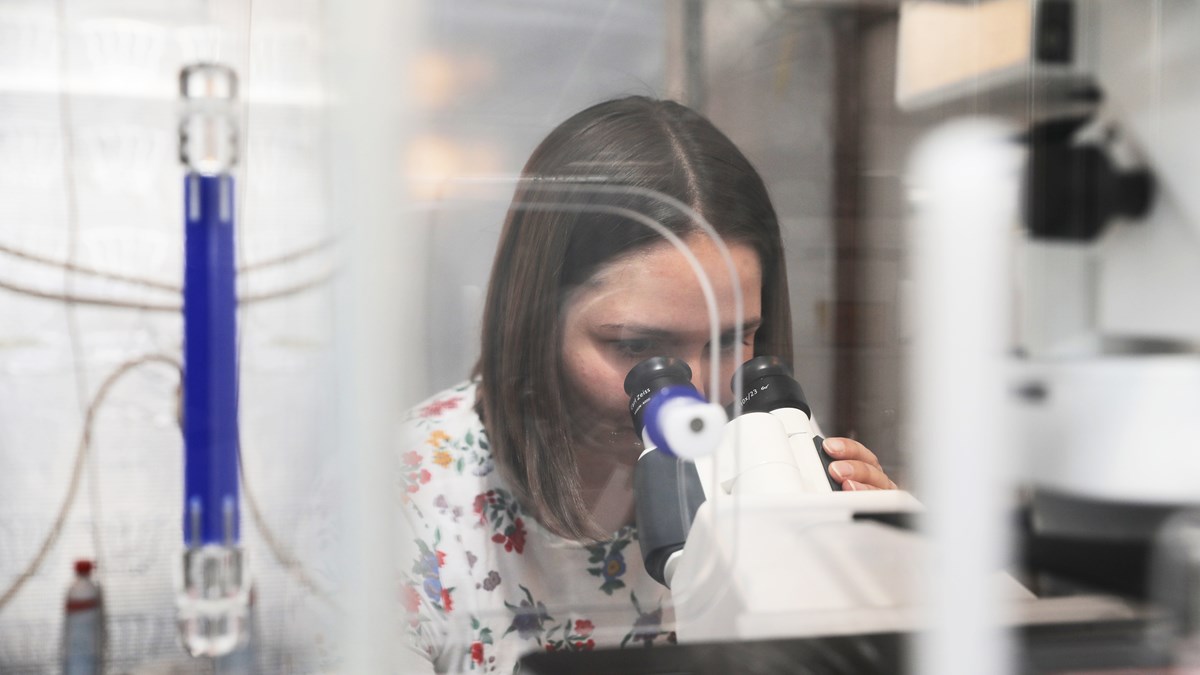 Kvinnlig forskare använder ett mikroskop.