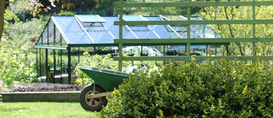 Växthus grön rehab