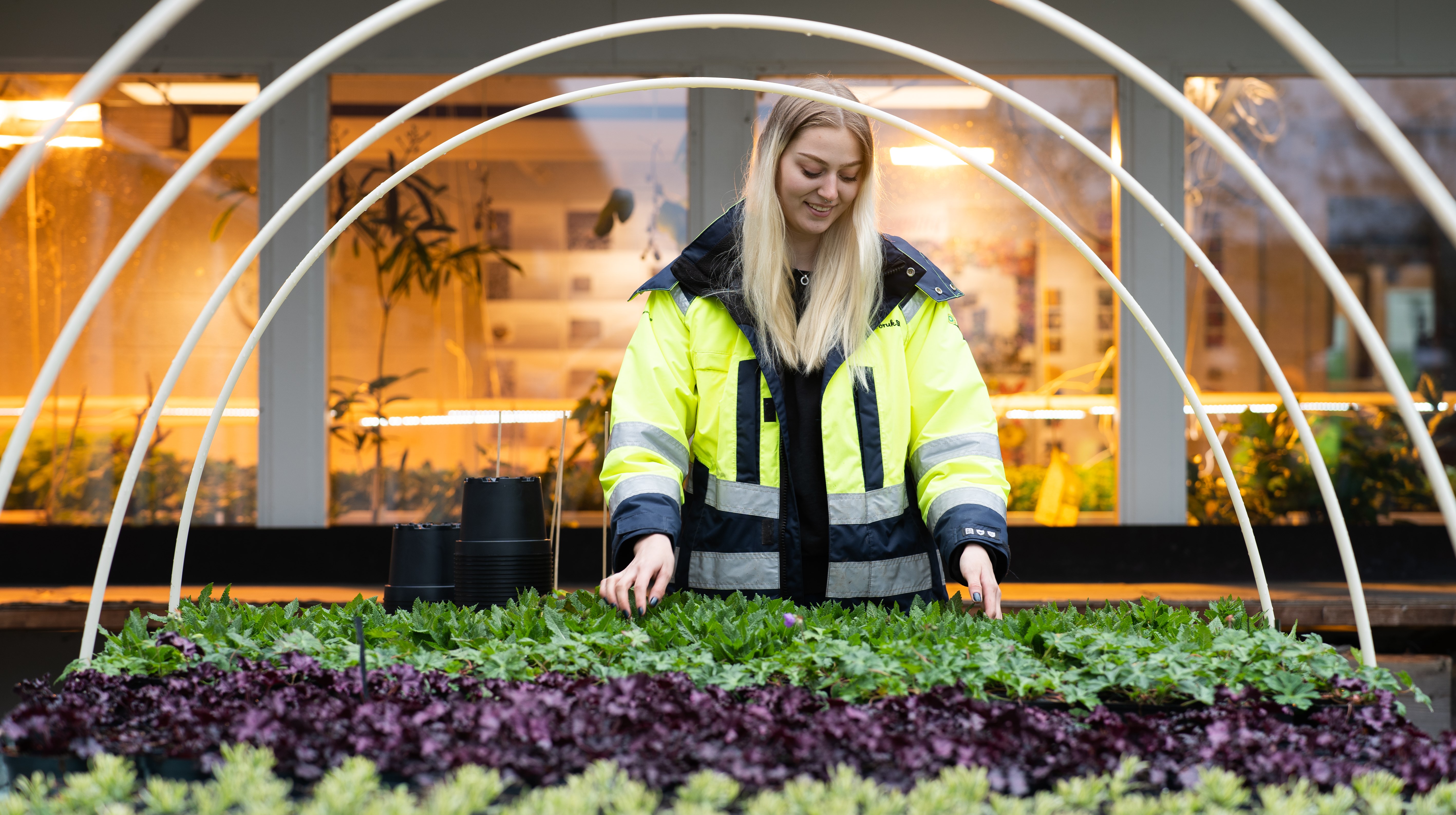 Elev kollar över växter på ett bord utomhus