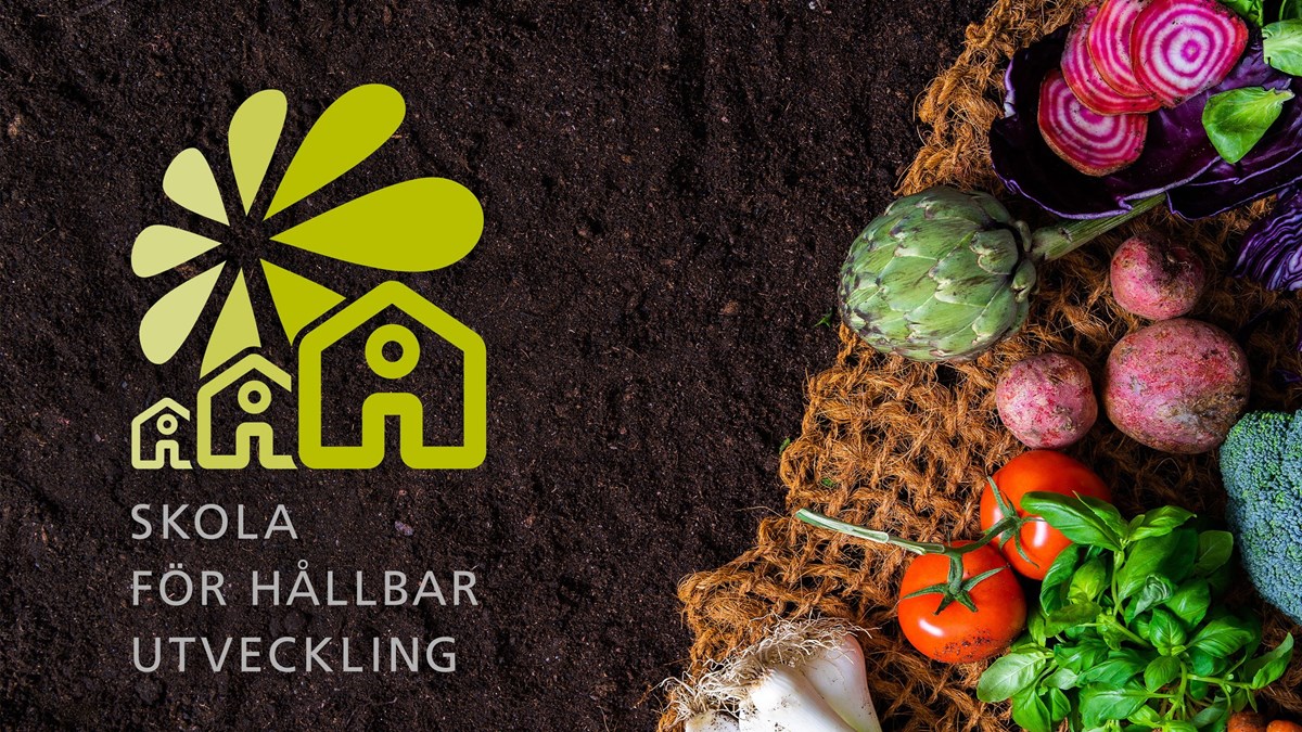 Logotype för Skola för hållbar utveckling i en bild med jord och grönsaker