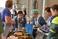 sjukvårdspersonal och patient