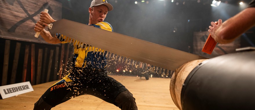 Ferry Svan sågar med en stor handsåg under en tävling