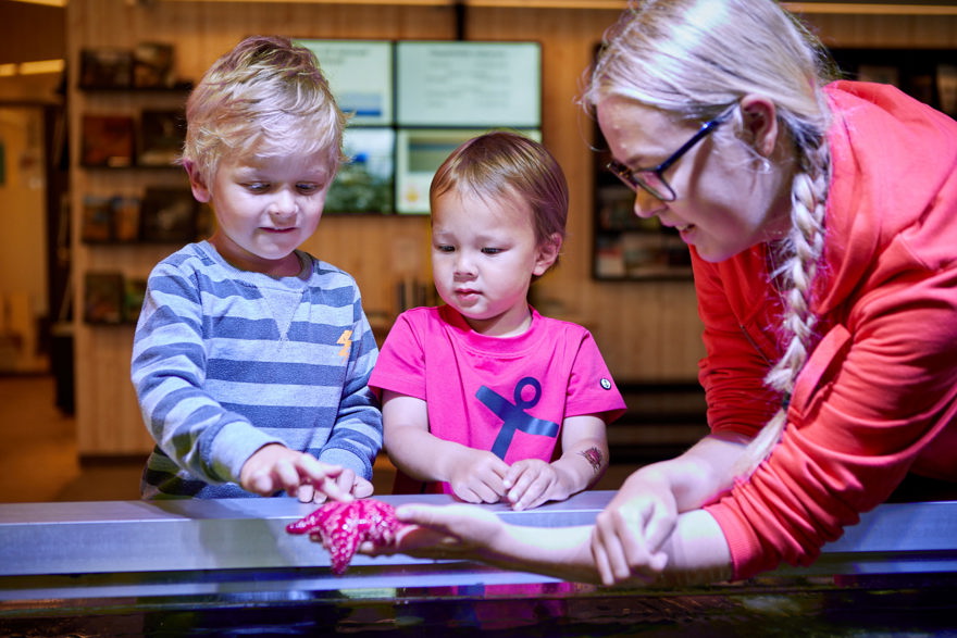 pedagog visar sjöstjärna för två barn