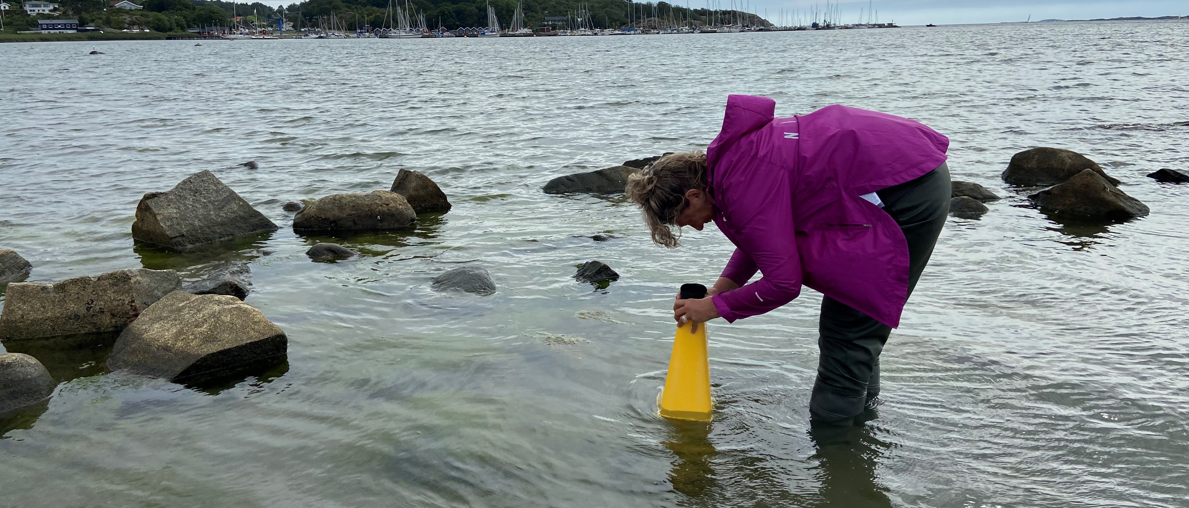 En person står och tittar i havet med en undervattenskikare