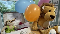 Gosedjurslejon och ballonger