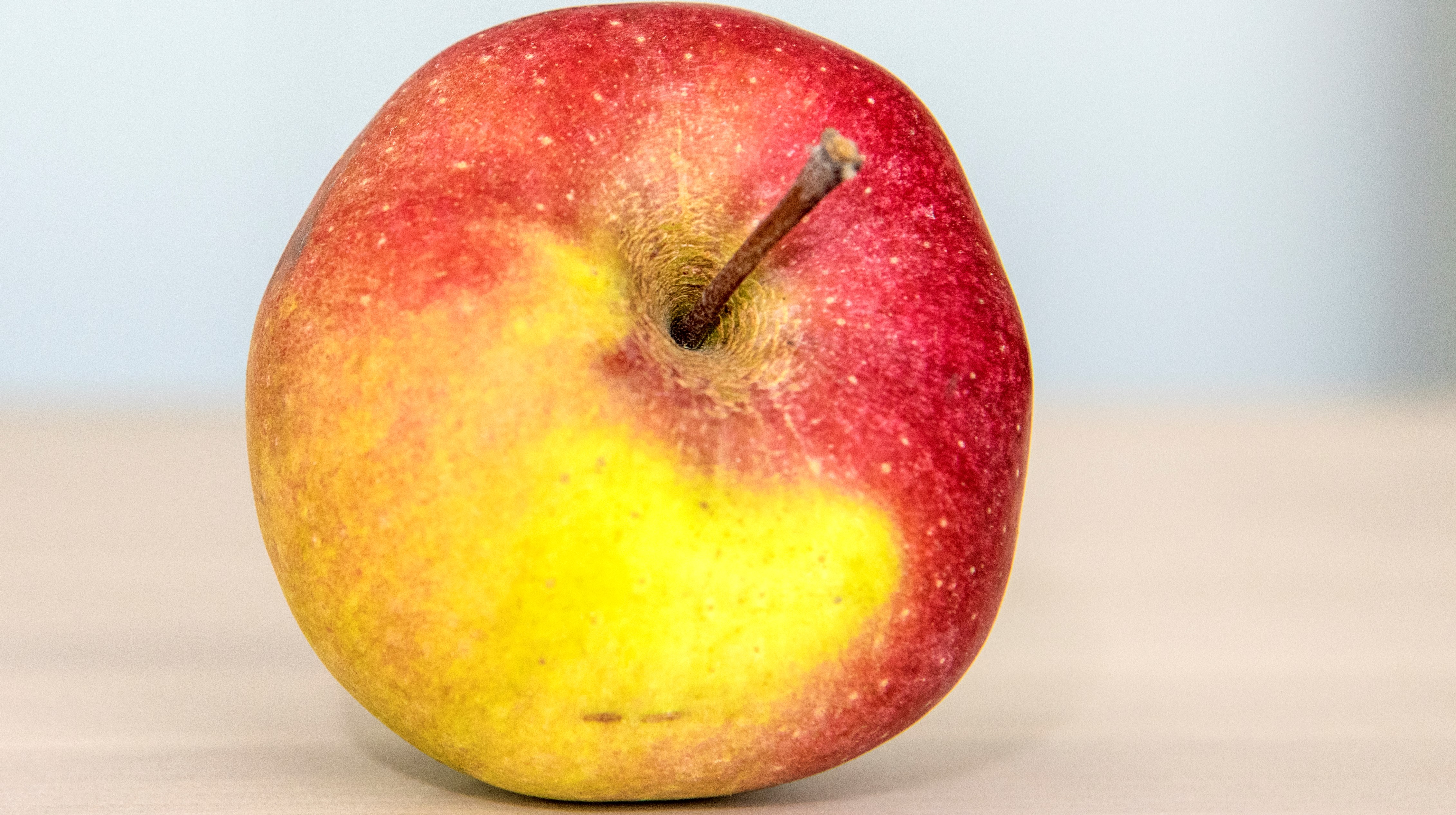 RÄTTIGHETER

Får användas av: Västra Götalandsregionen

Lämna till tredje part: Får lämnas till tredje part utan nytt samtycke. 

Får användas tom: Ingen tidsbegränsning
