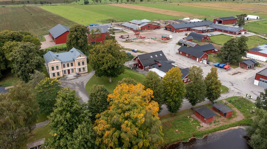 Drönarfoto över del av skolans område